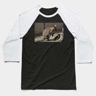 Wallaby Baseball T-Shirt